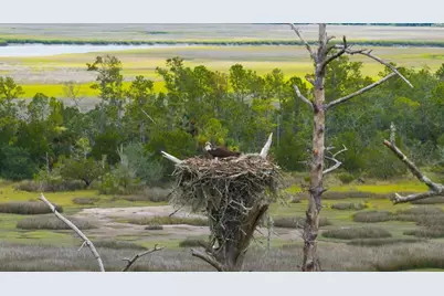 1300 Retreat Road, Riceboro, GA 31323 - Photo 68