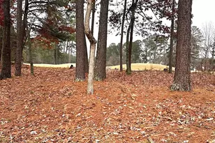 2431 Apalachee Run Way, Dacula, GA 30019 - Photo 16