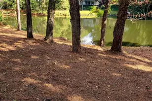 2696 Long Lake Terrace, Roswell, GA 30075 - Photo 34