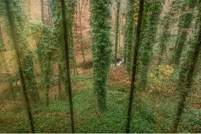 5162 Laurel Bridge Court SE, Smyrna, GA 30082 - Photo 36