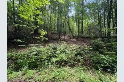 0 Ts Jarrard Rd, Unit Tract 3, Dahlonega, GA 30533 - Photo 4