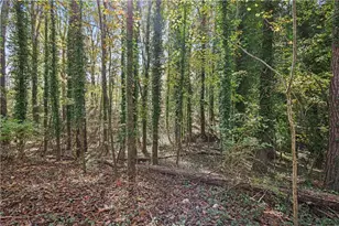 0 Carson Graves Rd, Watkinsville, GA 30677 - Photo 56