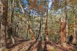 0 Carson Graves Rd, Watkinsville, GA 30677 - Photo 54