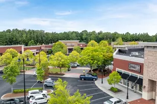 115 Cyrilla Walk, Dallas, GA 30132 - Photo 42