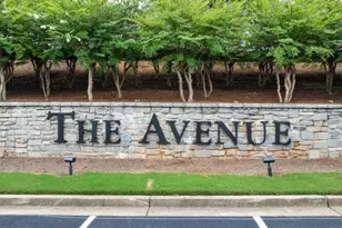 91 Cyrilla Walk, Dallas, GA 30132 - Photo 40