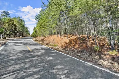 1001 Black Bear Trail, Big Canoe, GA 30143 - Photo 10