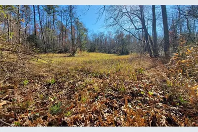 1116 Cody Road, Mount Airy, GA 30563 - Photo 28