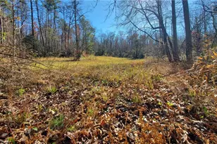 1116 Cody Rd, Mount Airy, GA 30563 - Photo 28