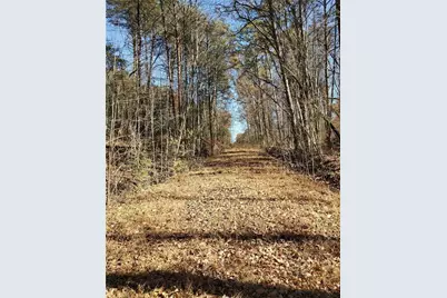 1116 Cody Road, Mount Airy, GA 30563 - Photo 34