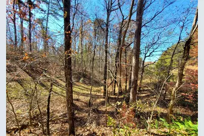 1116 Cody Road, Mount Airy, GA 30563 - Photo 36