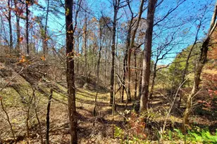 1116 Cody Rd, Mount Airy, GA 30563 - Photo 36