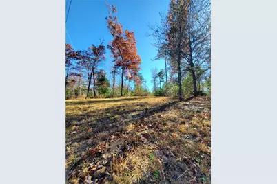 1116 Cody Road, Mount Airy, GA 30563 - Photo 38
