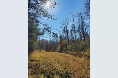 1116 Cody Road, Mount Airy, GA 30563 - Photo 32