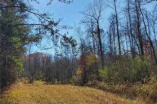 1116 Cody Rd, Mount Airy, GA 30563 - Photo 32