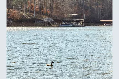 5651 Old Wilkie Road, Gainesville, GA 30506 - Photo 62