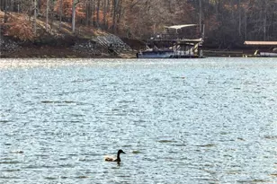 5651 Old Wilkie Rd, Gainesville, GA 30506 - Photo 76