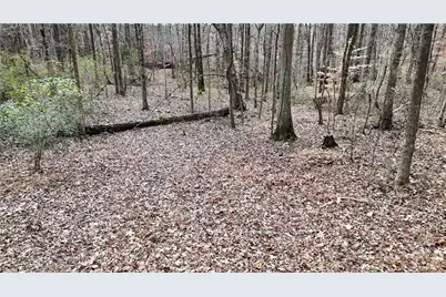 7307 Williams Road, Flowery Branch, GA 30542 - Photo 20