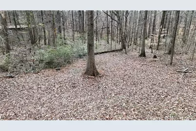 7307 Williams Road, Flowery Branch, GA 30542 - Photo 22