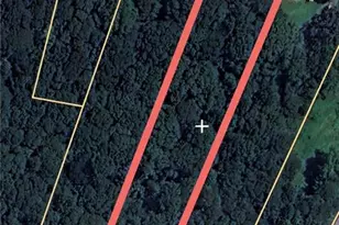 7307 Williams Rd, Flowery Branch, GA 30542 - Photo 1