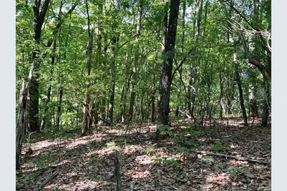 3285 Wood Poppy Drive, Jasper, GA 30143 - Photo 6