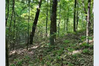 3285 Wood Poppy Drive, Jasper, GA 30143 - Photo 12