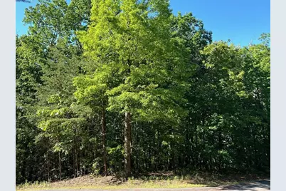 3285 Wood Poppy Drive, Jasper, GA 30143 - Photo 2