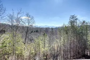 2567 Todd Shook Rd, Young Harris, GA 30582 - Photo 46