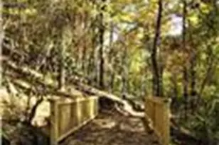 113 Elder Ct, Waleska, GA 30183 - Photo 30