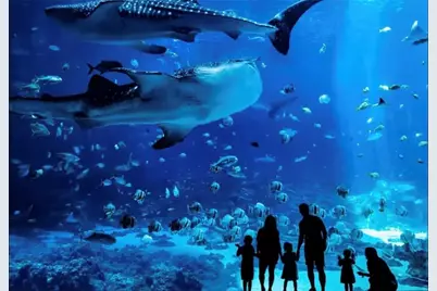 251 Aurora Avenue NW, Atlanta, GA 30314 - Photo 28