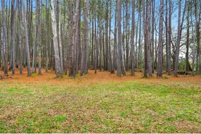 1295 Double Bridges Rd, Winder, GA 30680 - Photo 54