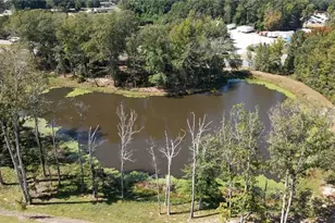 1859 Copelyn Reese Ct, Lawrenceville, GA 30043 - Photo 18