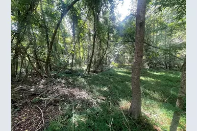 0 Tilton, Peachtree Corners, GA 30360 - Photo 12