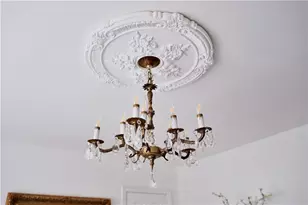 119 Boyd Cir, Dahlonega, GA 30533 - Photo 48