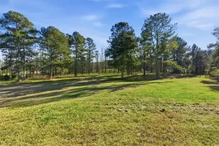 11 Appaloosa Ct, Taylorsville, GA 30178 - Photo 46