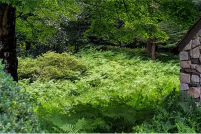 1727 W Paces Ferry Road NW, Atlanta, GA 30327 - Photo 6