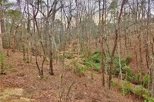 101 Coati Ct, Waleska, GA 30183 - Photo 22