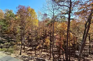 113 Chickasaw Dr, Waleska, GA 30183 - Photo 16