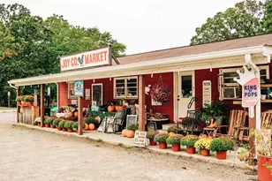 126 Brandle Rose Wy, Hoschton, GA 30548 - Photo 84