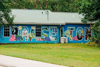 126 Brandle Rose Way, Hoschton, GA 30548 - Photo 72