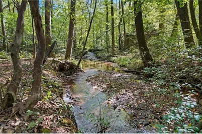 257 Foothills Drive, Cleveland, GA 30528 - Photo 50