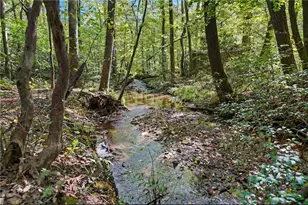 257 Foot Hills Dr, Cleveland, GA 30528 - Photo 50