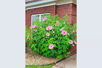 8513 Spivey Village Trail, Jonesboro, GA 30236 - Photo 24