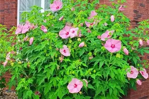 8513 Spivey Village Trail, Jonesboro, GA 30236 - Photo 24