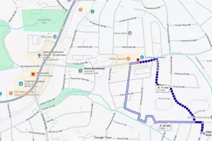 2383 Poplar Springs Dr NE, Brookhaven, GA 30319 - Photo 50