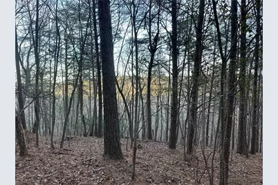 810 Bagwell Trail, Waleska, GA 30183 - Photo 6