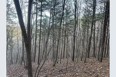 810 Bagwell Trail, Waleska, GA 30183 - Photo 10