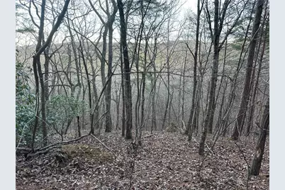 810 Bagwell Trail, Waleska, GA 30183 - Photo 12