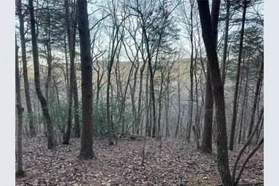 810 Bagwell Trail, Waleska, GA 30183 - Photo 8