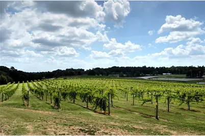 2217 Crimson King Drive, Braselton, GA 30517 - Photo 98