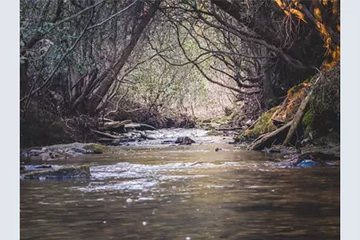 480 Brookstone Trail, Dawsonville, GA 30534 - Photo 40